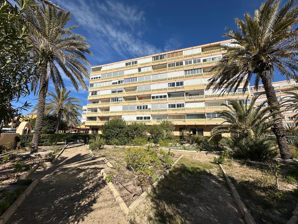 Lejlighed i Torrevieja, Alicante - foto 2